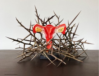The Definitive Thorny Issue